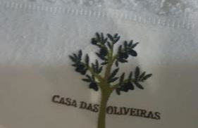 Casa das Oliveiras, o Douro no seu esplendor! - Foto 32