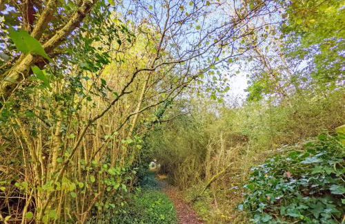 The Quail Cabin - Foto 27