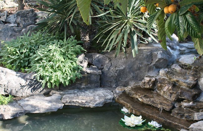 Villa Mandolina Apartments - Foto 23