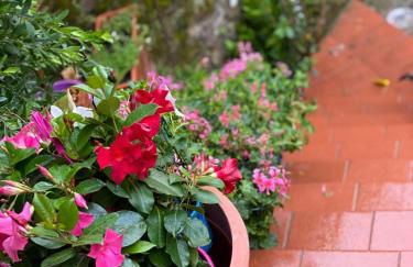 Casa da Nonna Rita - Photo 10