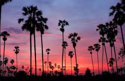 Mid-Century Krisel House with Salt Water Pool and Firepit - Foto 40