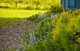 Bluebell Cabin - Foto 8