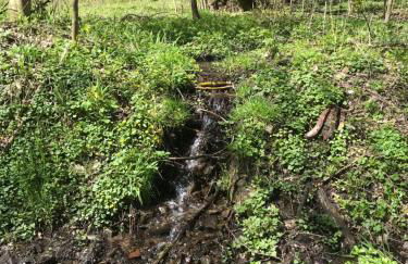 Rhön - Nestchen - Foto 24