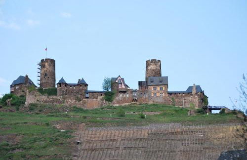 Moselschön Das Ferienhaus - Foto 51