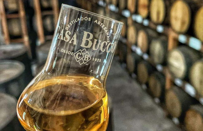 Visita a la bodega Salton + Degustación de cachaça - Foto 8
