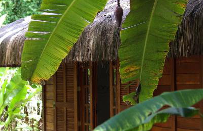Bahia Soul - Casa Mutá - Barra Grande - Península de Maraú - Foto 43