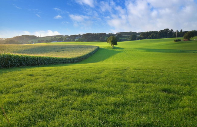 Holiday Home Slenaken With Valley Views - Foto 29
