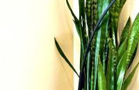 Entire home 4BR2B in Campbell close Netflix Los Gatos - Foto 3