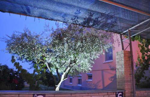 Apartments Rosa - Foto 41