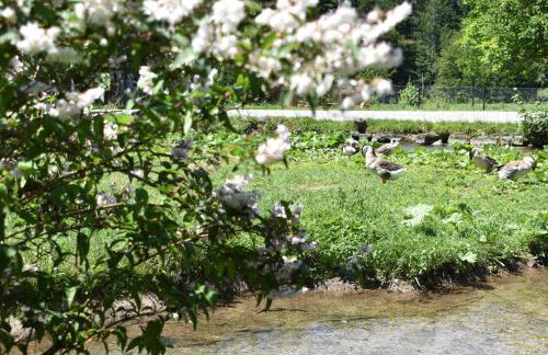 Plitvice Panta Rei - Foto 49