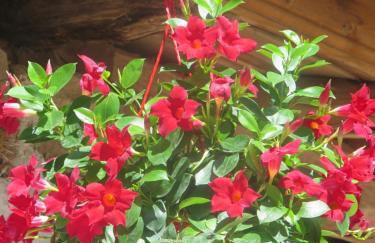 CASA RURAL Urruska - Foto 53