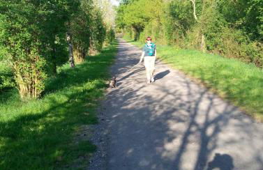 Les Clés Nature Studio 41 - Foto 25