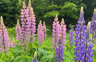 Basecamp Haven 2 Your perfect start to adventure - Foto 63