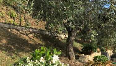 Casa Vacanze Vecciano - Foto 2