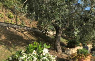 Casa Vacanze Vecciano - Foto 2