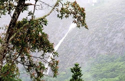 Casa Fazenda Inglesa Petrópolis RJ - Foto 26