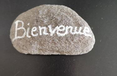 Superbe appartement en rez-de-jardin à LANTON - Foto 11