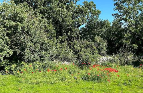 Villa Kresina - Photo 38