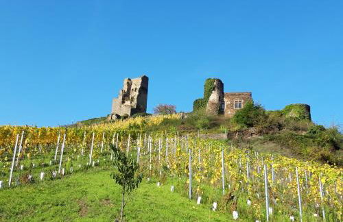 Ferienwohnung Ambiente II und III - Foto 39