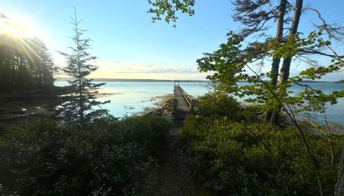 Shackmatack - Foto 4