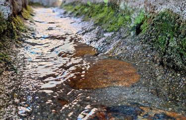 Apartamento Turístico El Canalizo I - Foto 43