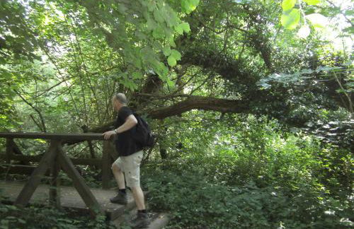 Ferienwohnung Rosentraum - Foto 21