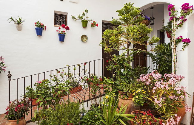 Habitaciones y Apartamentos en el centro La Jábega by Conil Home - Photo 143