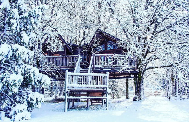 Out 'N' About Treehouse Treesort - Photo 22