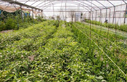 Casa Codesal Apartamentos - Foto 34