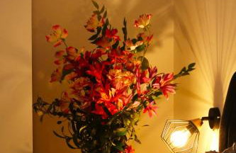 Apartmani Bura - Foto 51