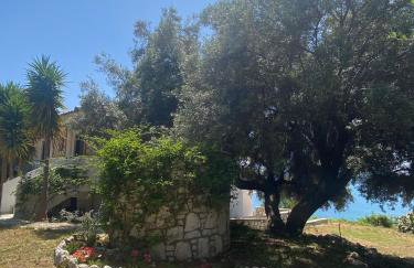 Kalamos Bay View - Foto 11