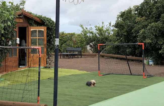 Los Viejitos en Firgas - Foto 64