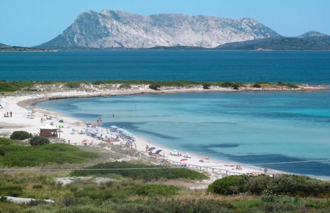 Apartment in Sos Alinos Near Sardinian Beaches - Photo 39