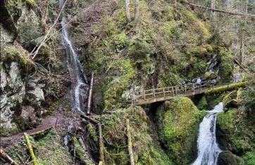 Ferienwohnung Schwarzwaldglück - Foto 41