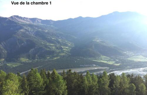 Appartement T4 esprit chalet jolie vue PRA LOUP 1600 - Foto 29