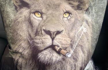 Eleanor Rigby apts Stanley Street - Foto 62