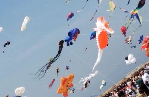 Fenicottero Rosa - Foto 25