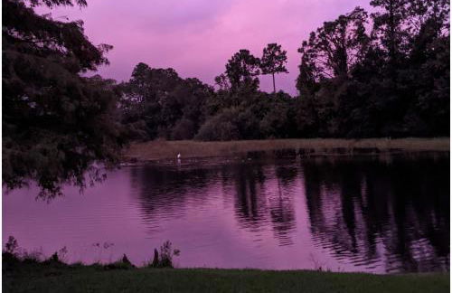 Pondside Perch - Your Waterfront Retreat home - Foto 52