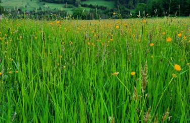 Domek Ostoja - Foto 52