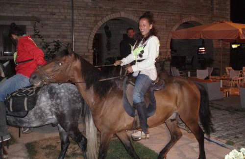 Nisista Lodge Mountain View - Foto 34