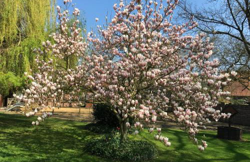 Ferienglück Lindwedel - Photo 16