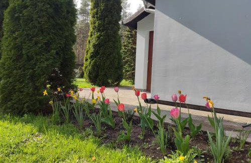 Domek z ogrodem - Foto 12