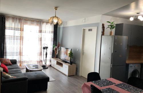 Big Duplex Close to Orly Airport and RER C or D - Foto 2