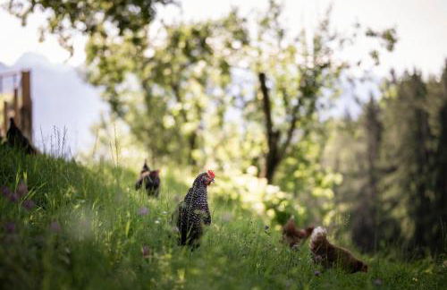 Rappersbühl - Foto 13