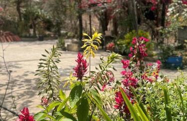 Lugar para descansar com a familia - Foto 5