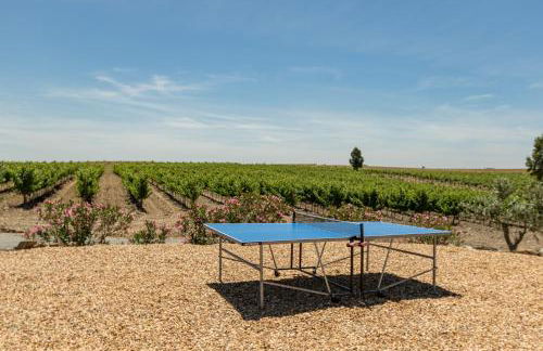 Fontes Bárbaras Enoturismo - Foto 32