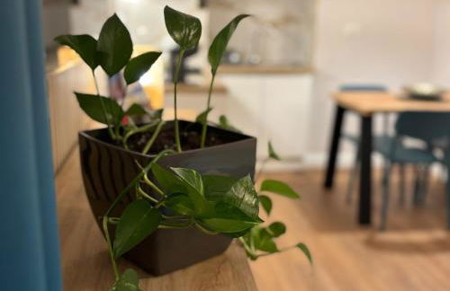 Binario 5, a due passi da Porta Nuova e dal centro - Photo 19