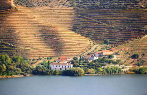 Douro Yacht Charter & Bungalows - Foto 40
