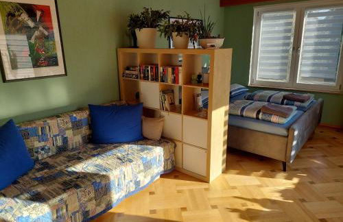 Kakteengarten - Foto 27