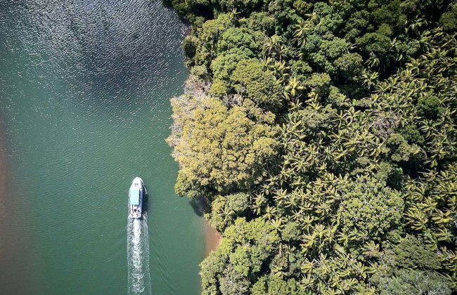 Paseo en barco con avistamiento de aves - Foto 2